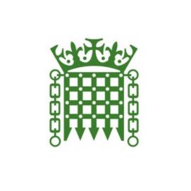 Inside the Digital Services Tax House of Commons Govt