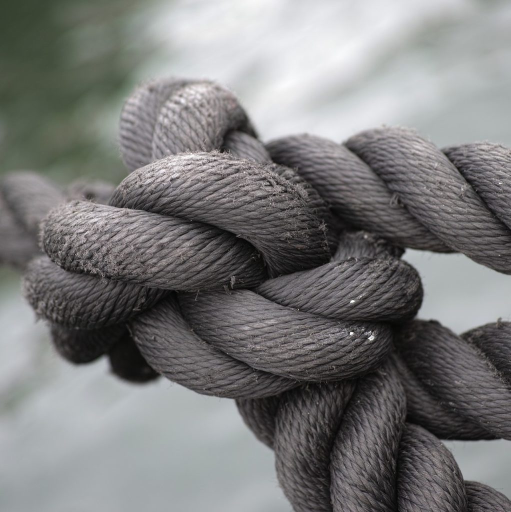 The Sales Director & the CMO: A Special Relationship