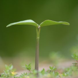 Bid Enrichment: What's in It for You?