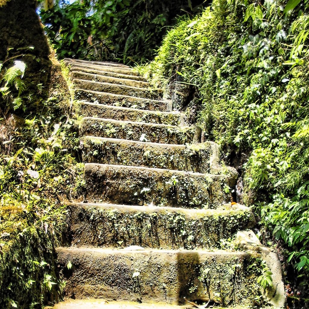 Vertical Video Has Outgrown Snapchat, Now a Premier Mobile Ad Format: Q&A with Ryan Griffin, AdColony