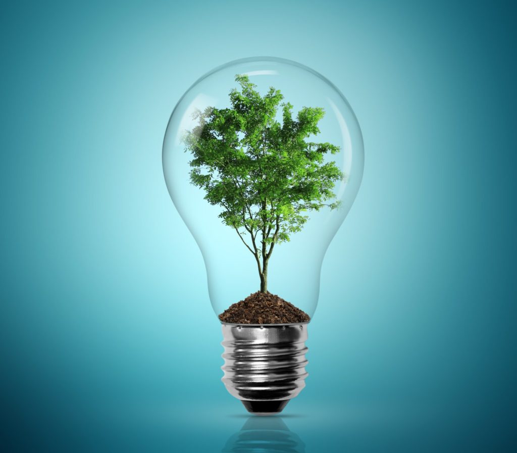 “Para um futuro sustentável, a indústria programática precisa de uma grande limpeza”, defende executivo da Teads