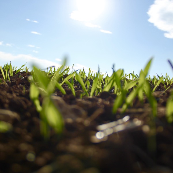 How to Scale & Discover the Land of Ad Tech Opportunity