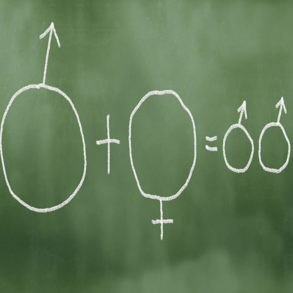 Gender Balance in Advertising & Marketing: It’s Time to Broaden the Conversation gender diversity