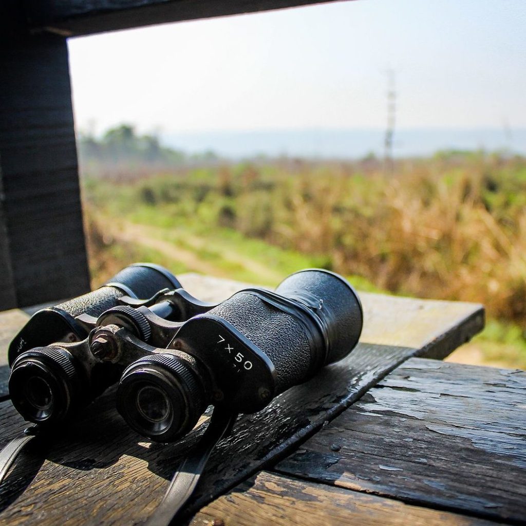 Tracking Is Dead. Long Live Advertising!