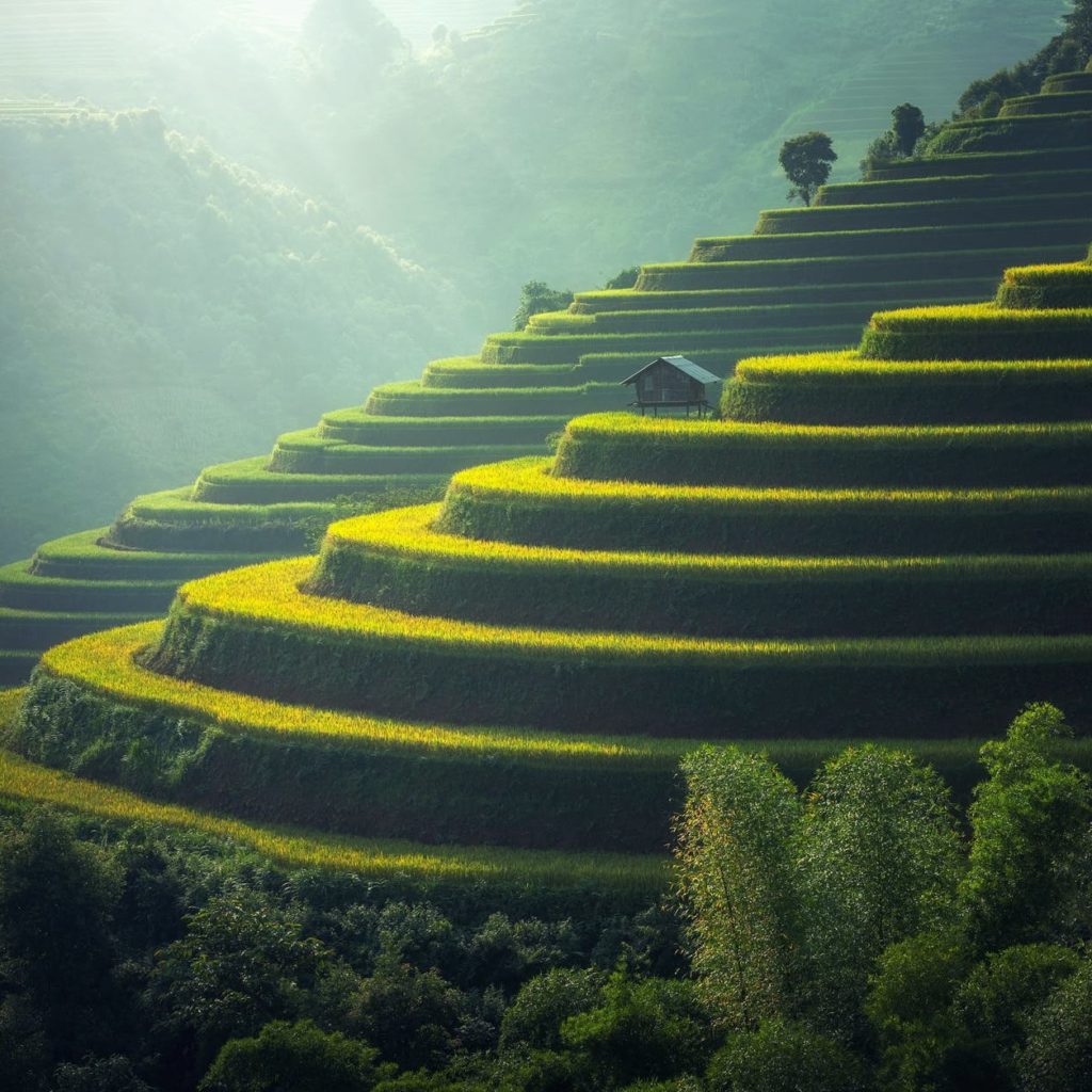 The Boom Times Are Still Rolling for Digital Advertising: Q&A with Ally Stuart, MD EMEA, Sharethrough