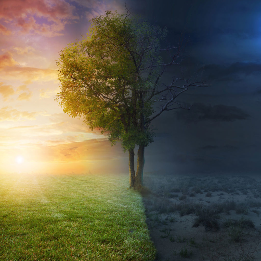 Has GDPR Killed Programmatic?