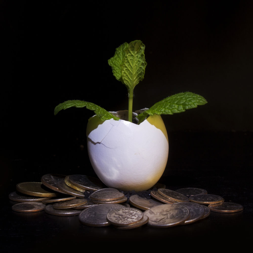 Many Indie Game Developers Lack Resources to Monetise Apps: Q&A with Rafael Vivas, Lion Studios