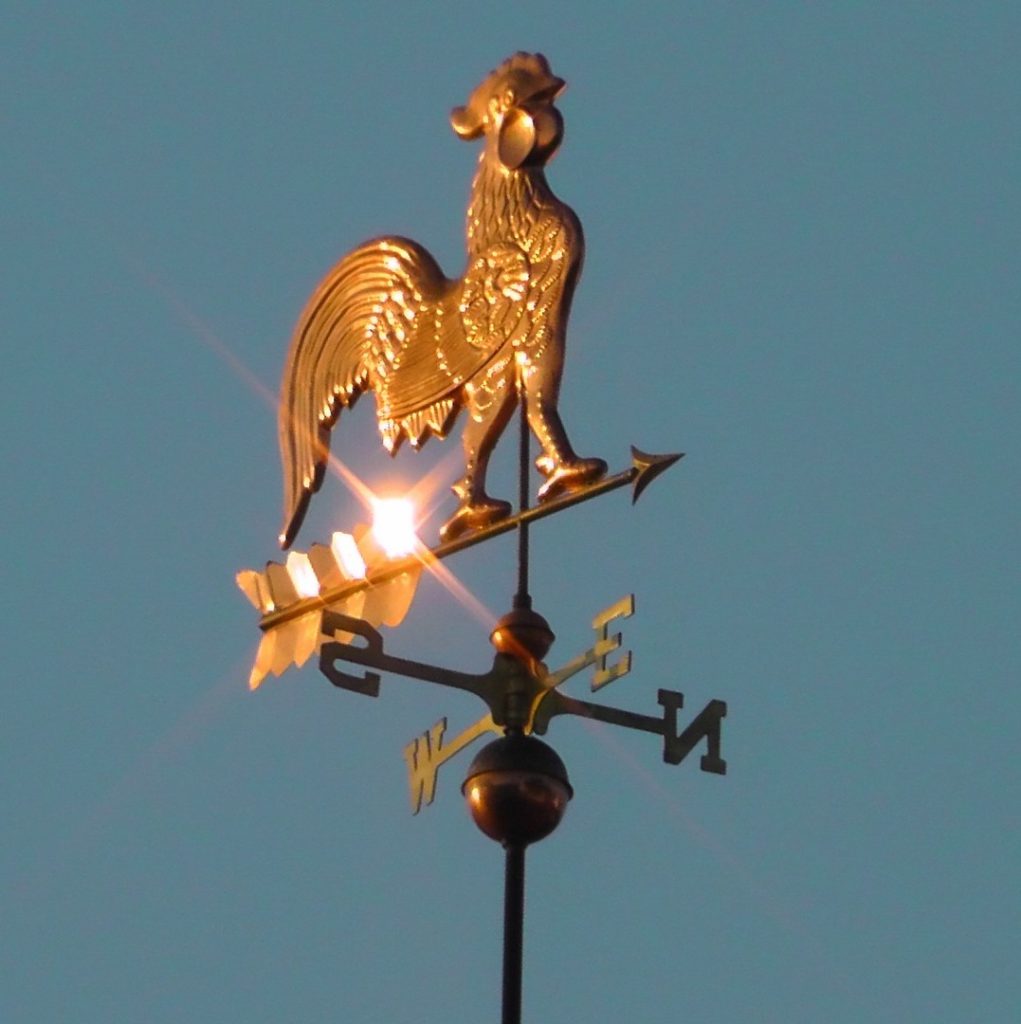 How the Best Service-Layer Companies May Turn the Tables on Big Brands