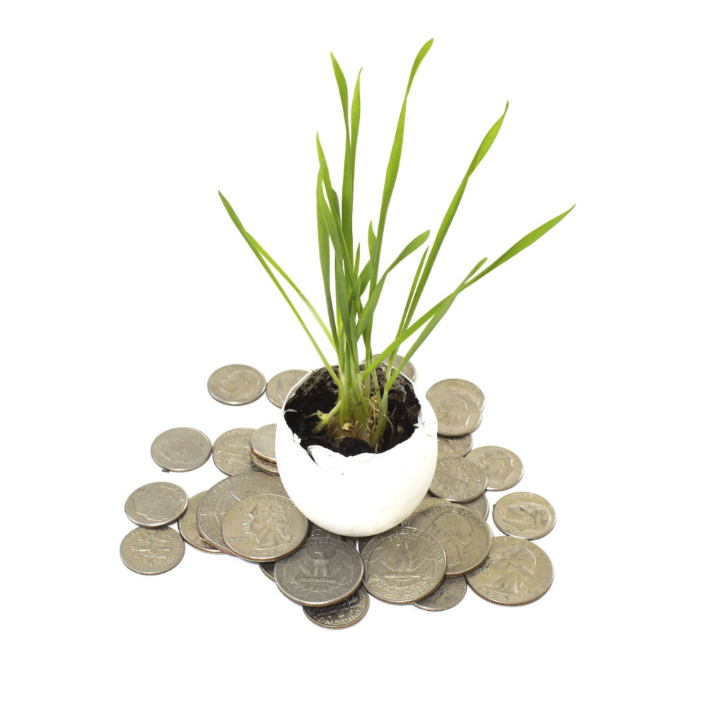 Navigating the Investment Jungle: Q&A with Angel Investment Network