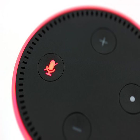 Retailers Willing to Invest More in Tech; Retailers Can Win With Voice in the Holidays