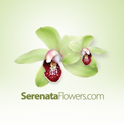 Reshaping the Floristry Marketplace with DTC: Q&A with Serenata Flowers