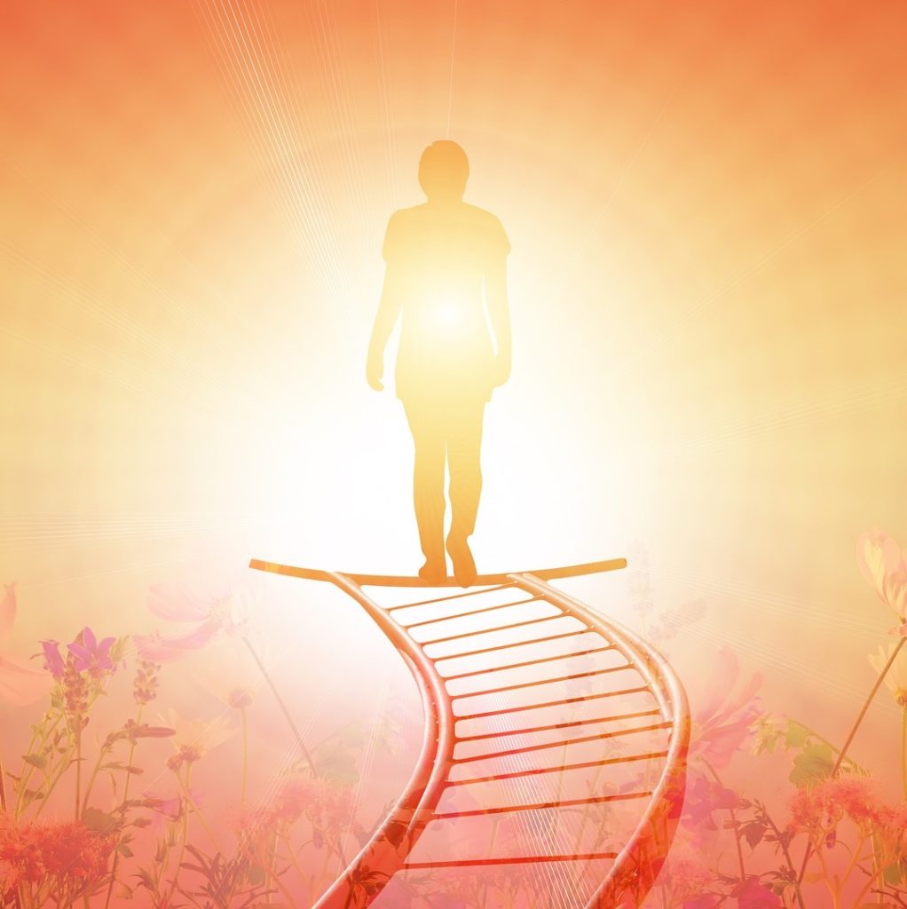 In This Privacy-First Era, Ad Tech Needs to Evolve or Die Evolve