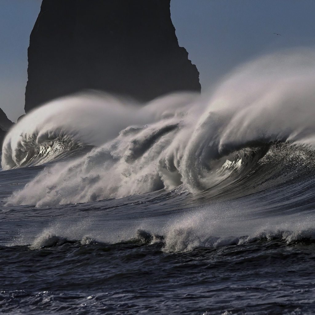 Surviving 2020 as an Independent Wave