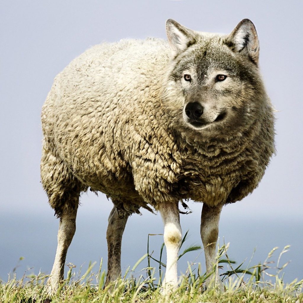 Publishers Let Randoms Stick Ads In Their Slots