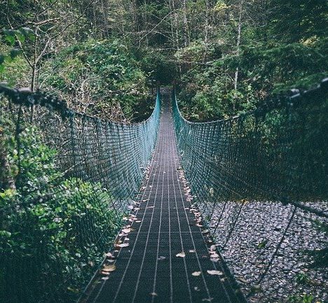 Bridging the Gap between Print and Digital: Q&A with Maria Hedengren, Readly