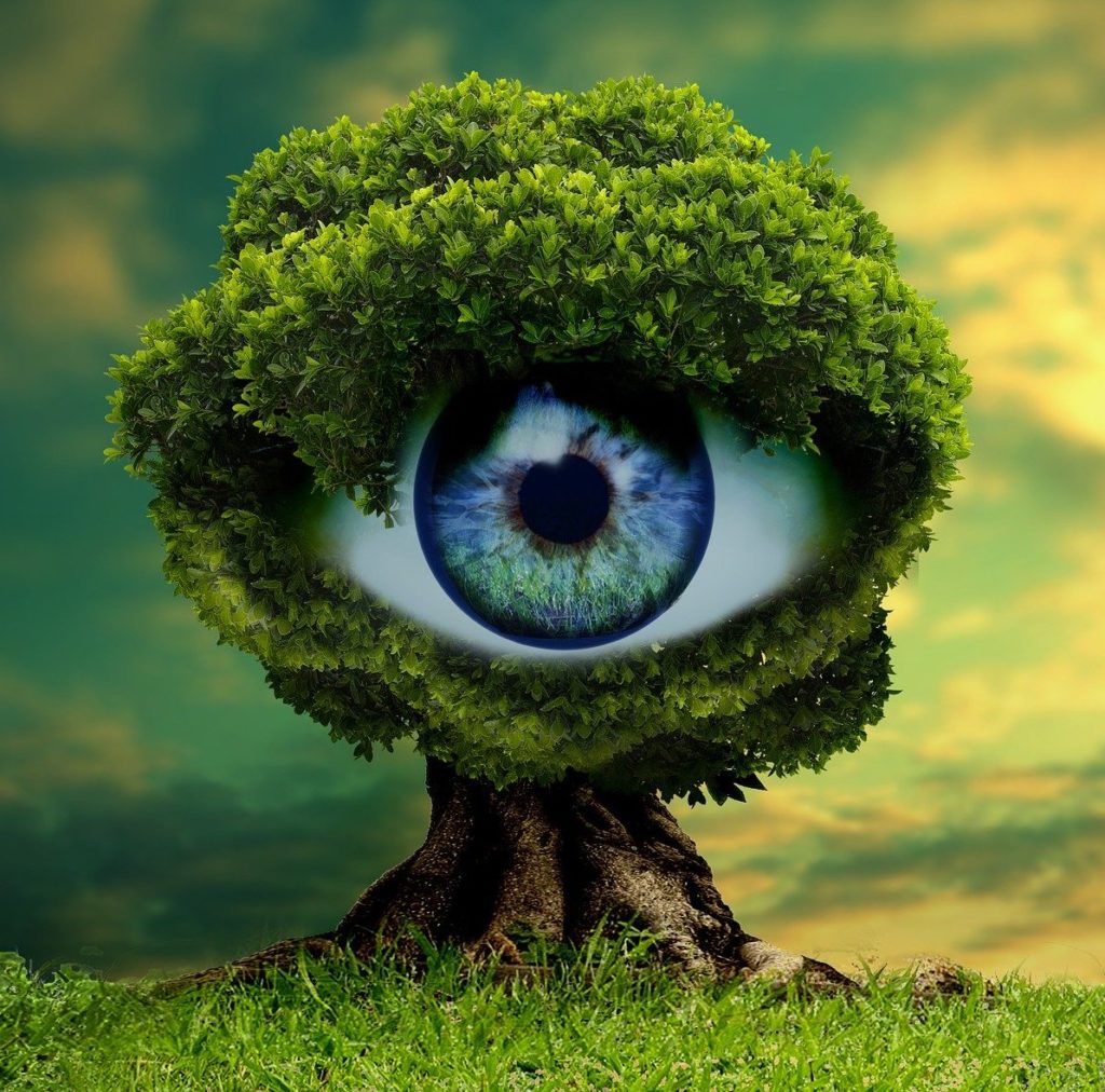 Advertisers Watching Ads: Fortnite, Nike & Black Lives Matter Watch