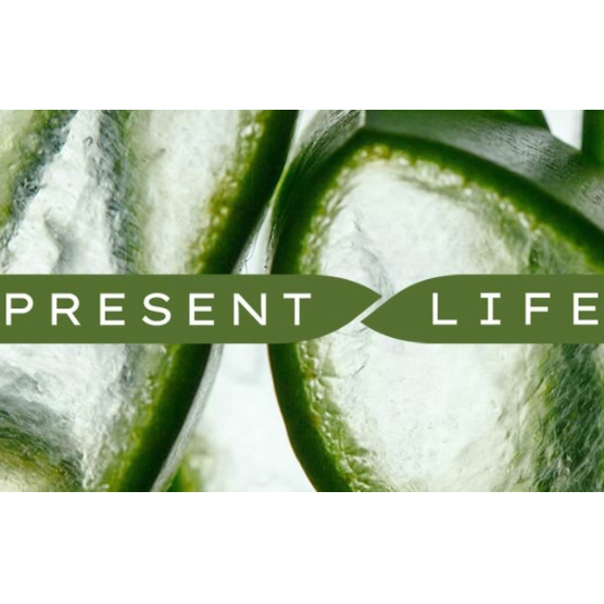 Present Life