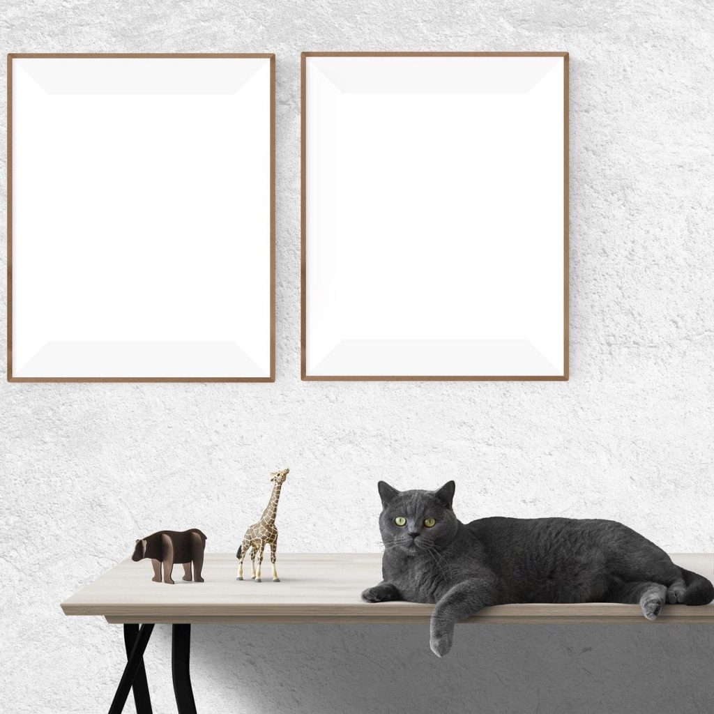 Time To Reframe The Industry: The Service Layer Reframing