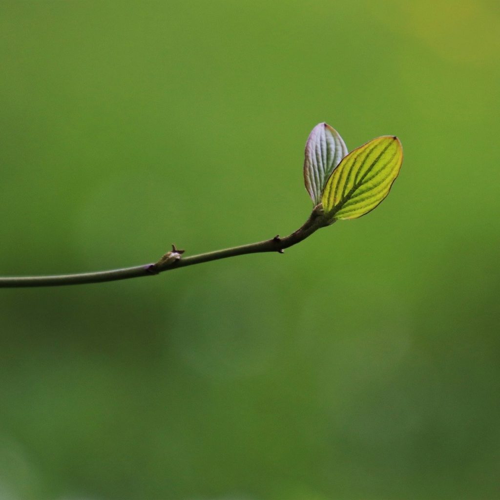 Data-Led Buying in Emerging Channels: Q&A with Charlotte Powers, the7stars Shoots