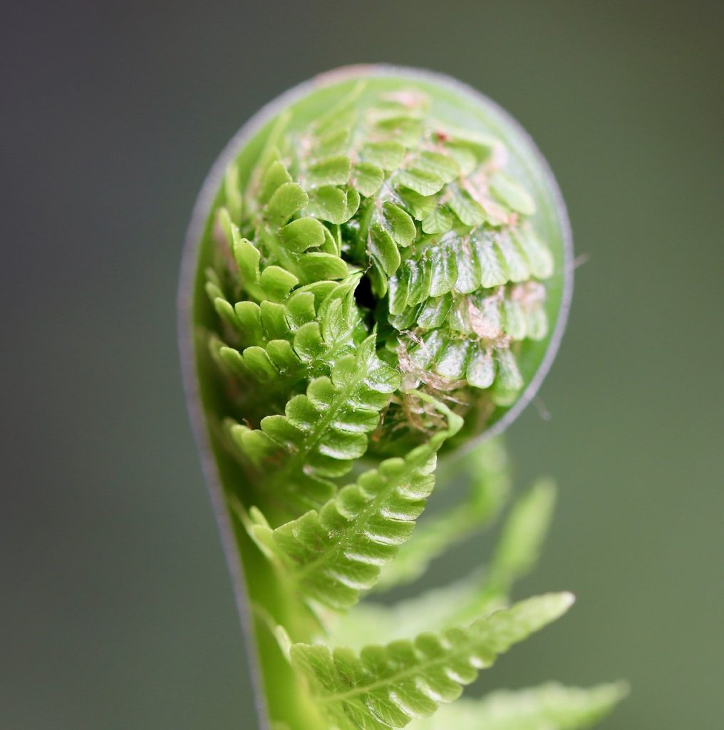 Contextual Advertising in Emerging Channels