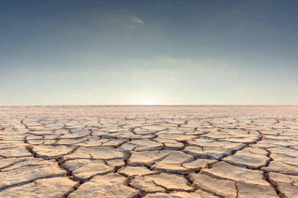 The Value of Brand-Building in a Fragmented Landscape – Q&A with John Dolan, Broadsign