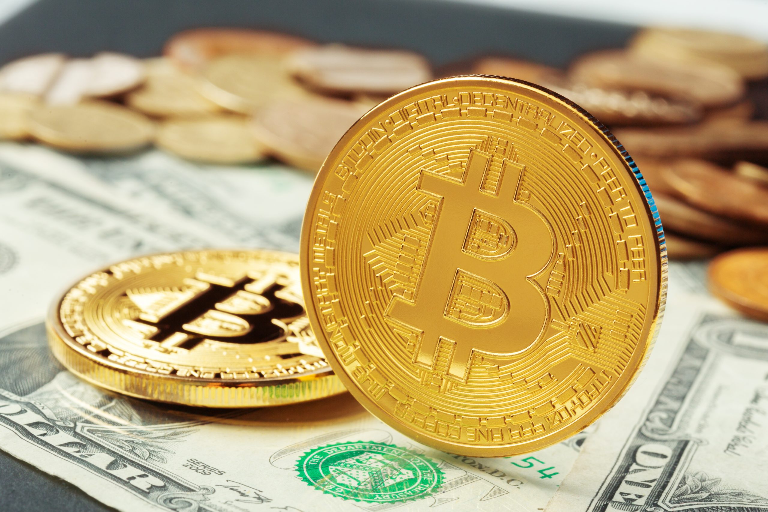 Bitcoin Price Crashes by 50% in Six Months; NFT Sales Stagnate -  ExchangeWire.com