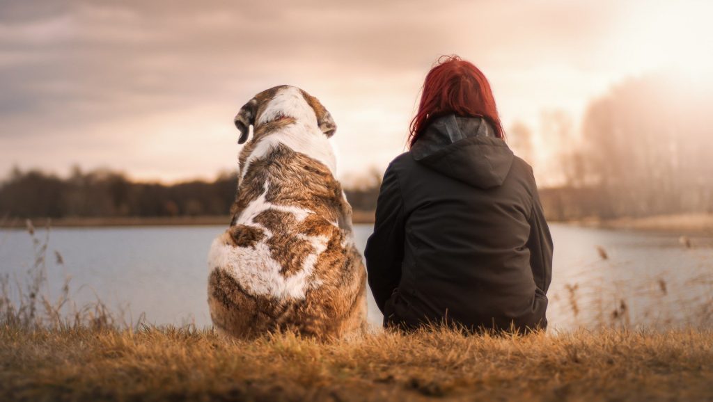 Consumer-Retailer Relationships Reimagined Friendship