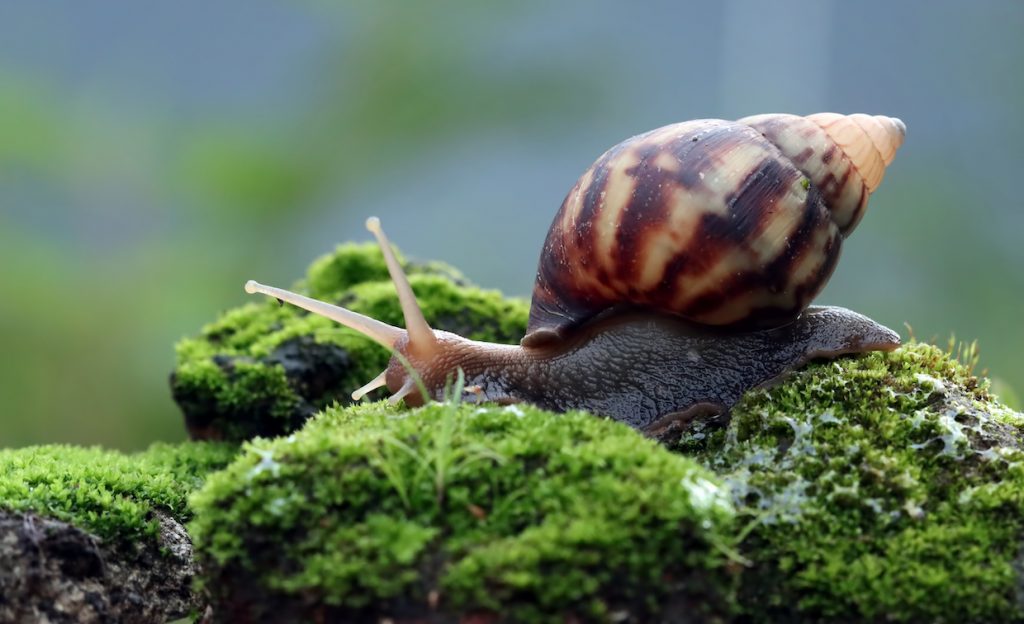 IPA Bellwether Q3 22: Marketing Budget Growth Slows Amid Economic Turmoil