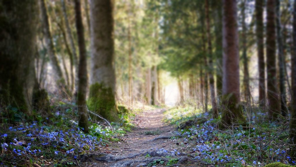 Commerce Media: The Next Phase Path