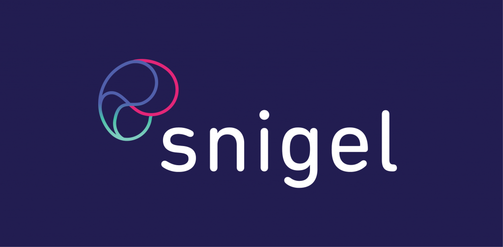 Snigel Shortlisted for Irish Digital Technology Company of the Year Award