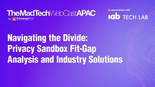 Navigating the Divide: Privacy Sandbox Fit-Gap Analysis and Industry Solutions APAC