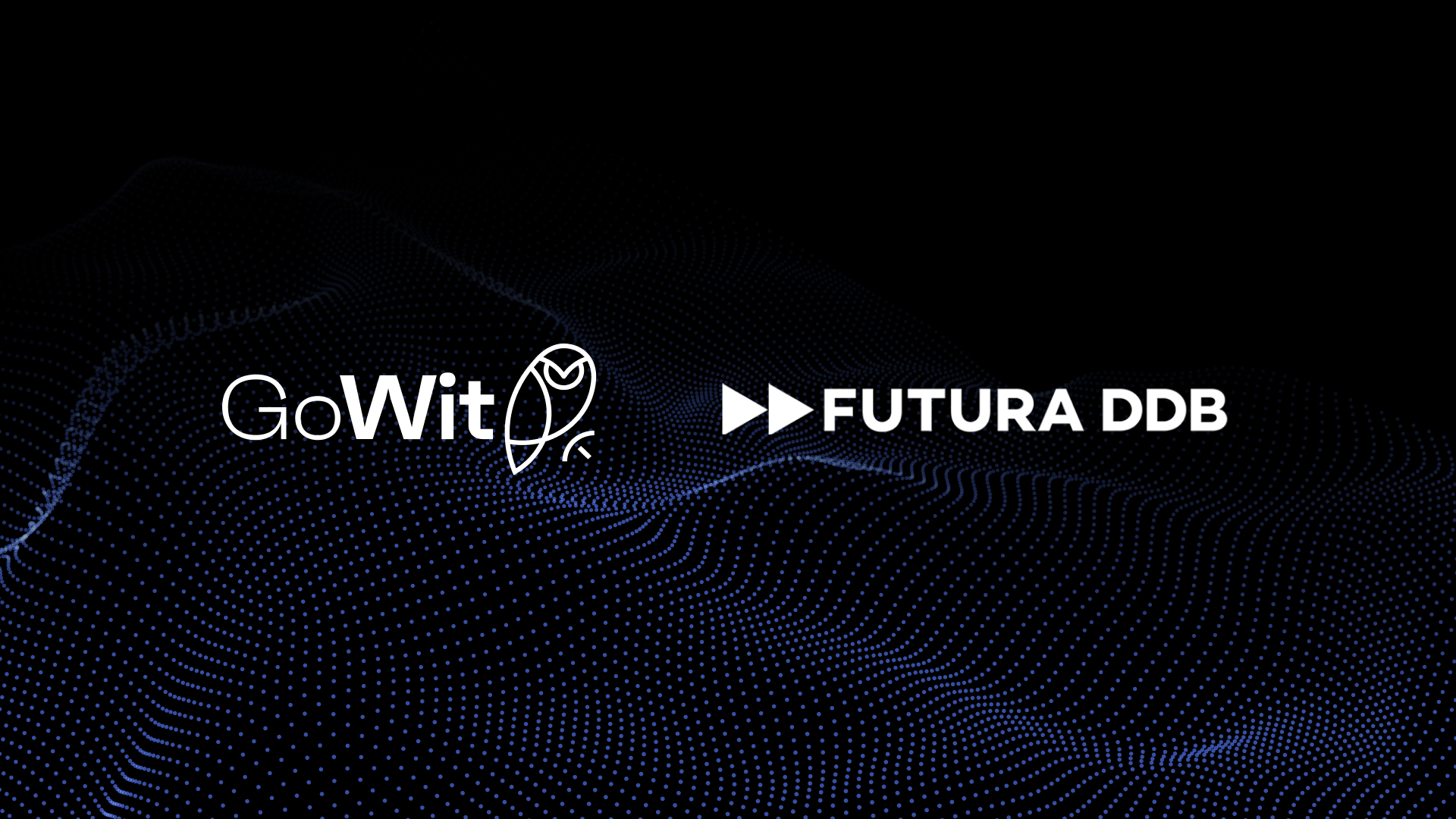 GoWit & Futura DDB Form Exclusive Retail Media Partnership in the Adriatic