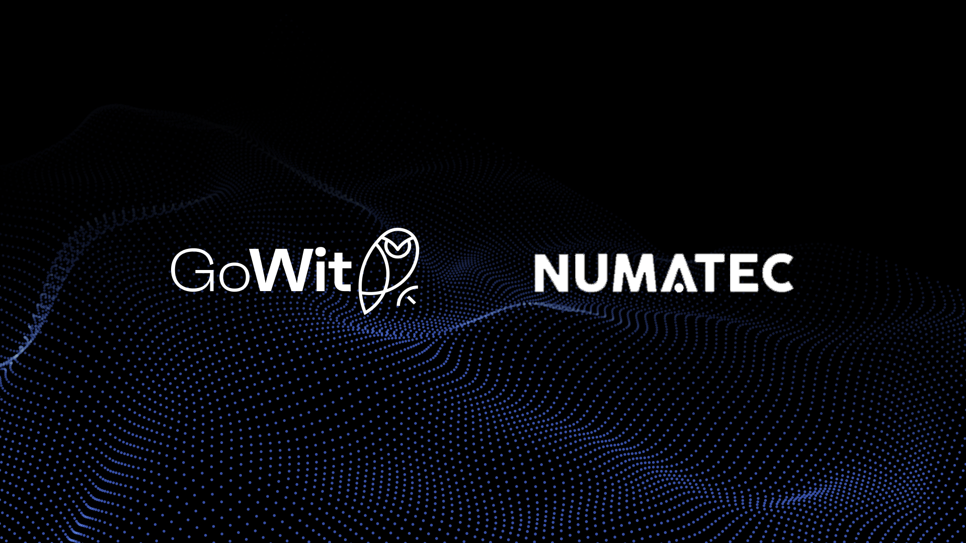 GoWit & Numatec Forge Retail Media Partnership in Spain and Italy